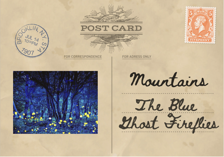 blue ghost fly 1